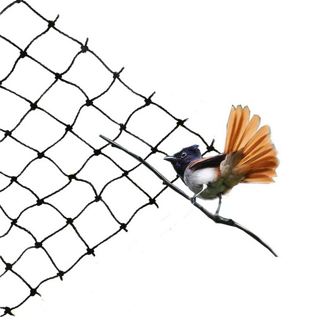 black nylon/pe/hdpe net anti bird net 6a